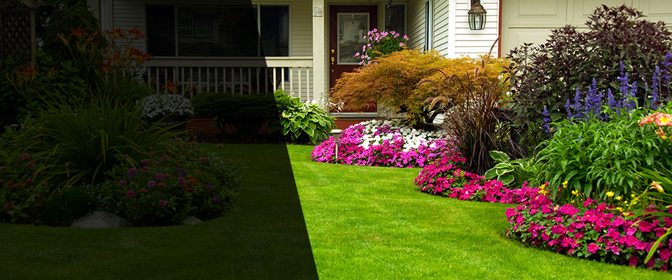 San Augustine Landscapers