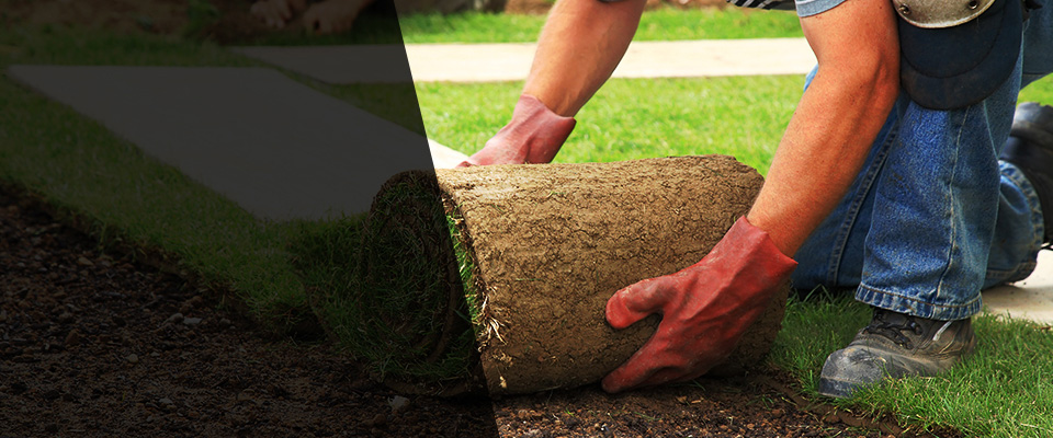San Augustine Landscapers